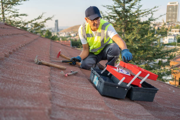 Best Hoarding Cleanup  in Lakeville, MN